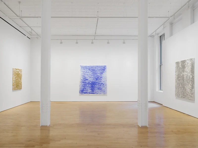 Installation shot from Vicky Colombet: Memory of the Surface, @ NORR COHAN