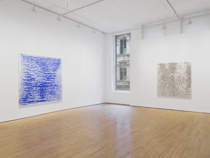 Installation shot from Vicky Colombet: Memory of the Surface, @ NORR COHAN