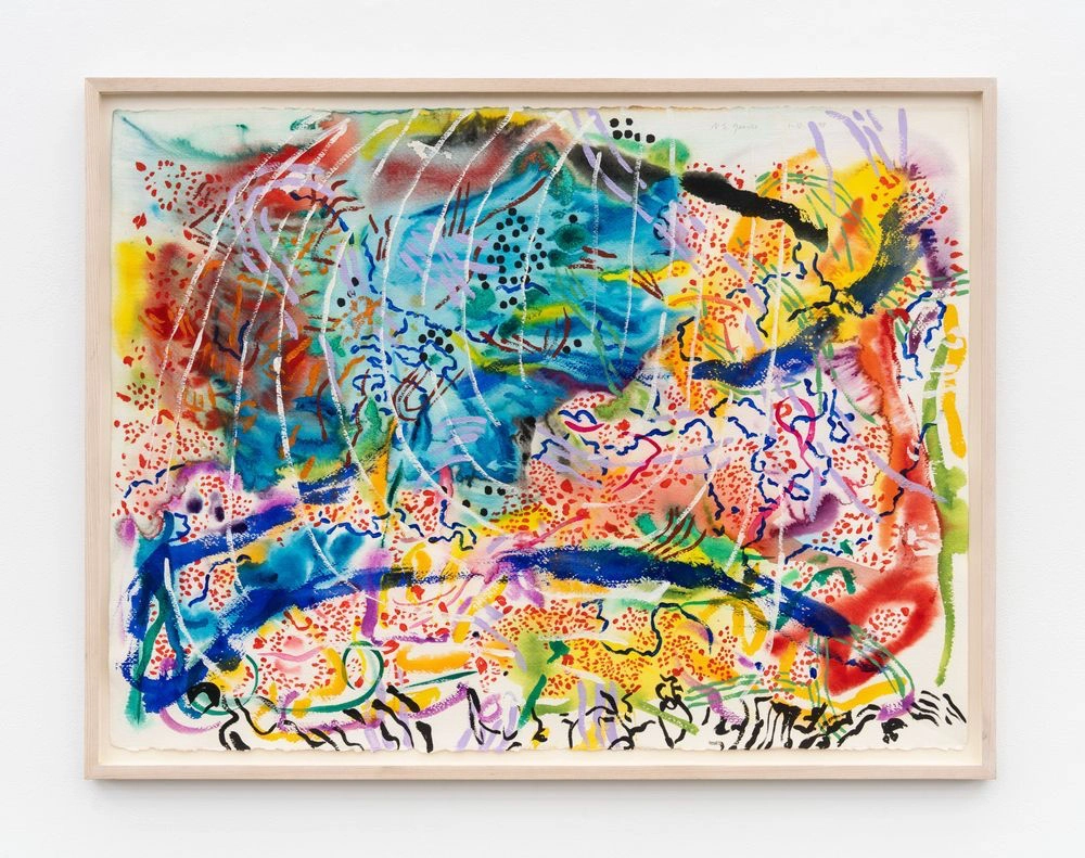 Image for Nancy Graves: Moonwater, at Perrotin New York