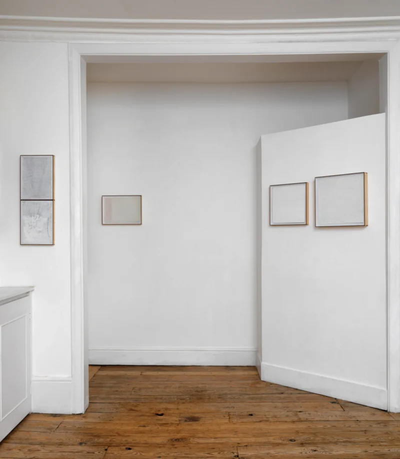 Installation shot from Bernardo Ortiz: Peso Muerto, @ Patrick Heide Contemporary Art