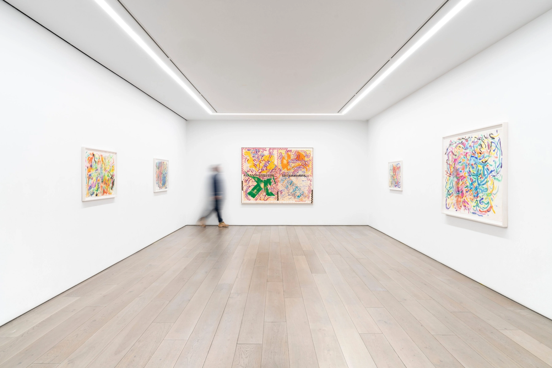 Image for Nancy Graves: Moonwater, at Perrotin New York
