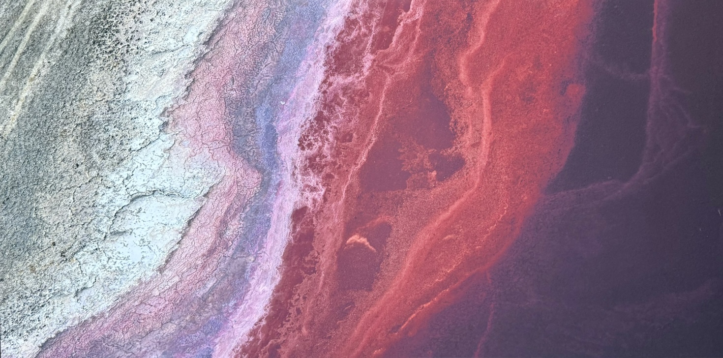 Michèle Buhofer, Red Lake, 2025