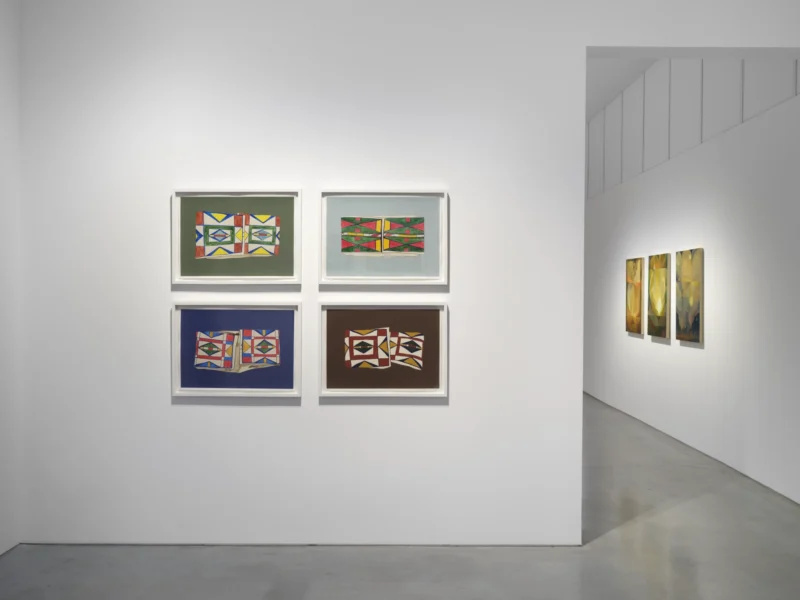 Installation shot from Objective Truths, @ Roberts Projects
