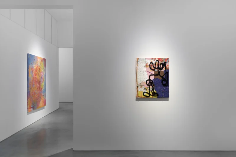 Installation shot from Objective Truths, @ Roberts Projects