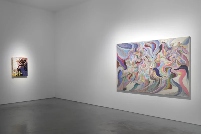 Installation shot from Objective Truths, @ Roberts Projects