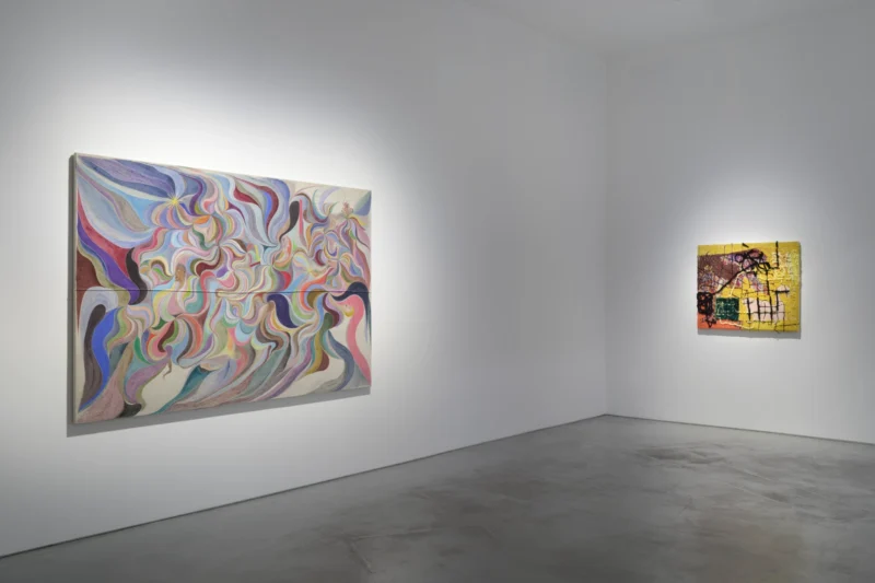Installation shot from Objective Truths, @ Roberts Projects
