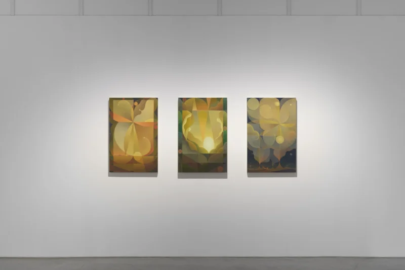 Installation shot from Objective Truths, @ Roberts Projects