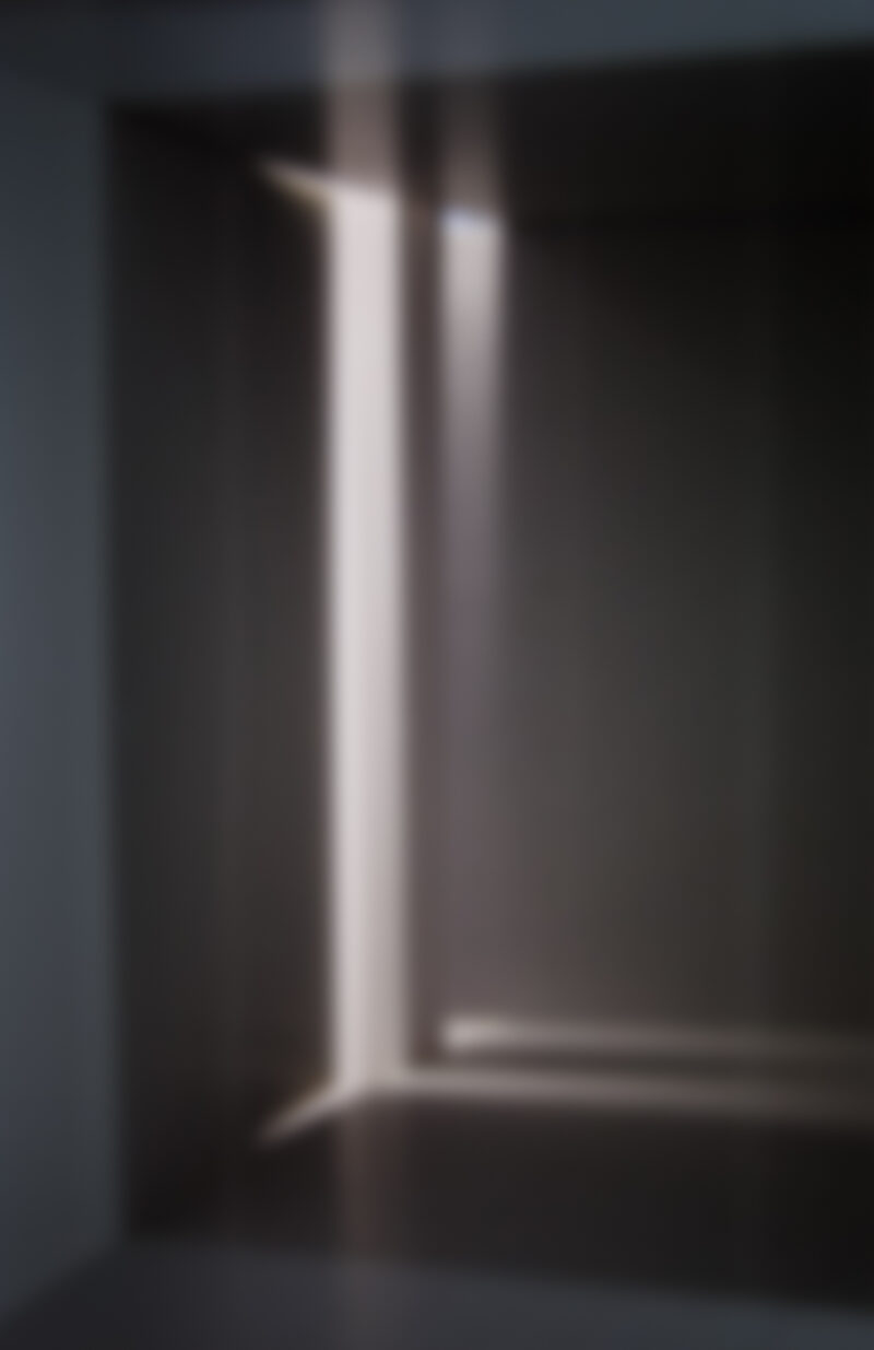 Eva Schlegel, o.T. (335a), 2022