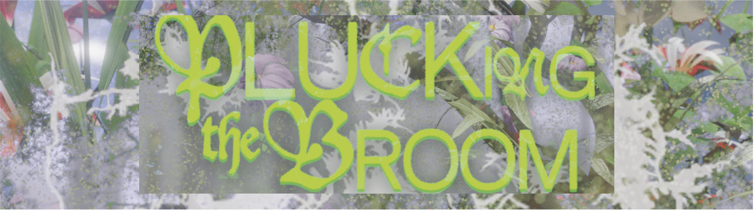Image for Plucking the Broom at No Limits! Art Castle