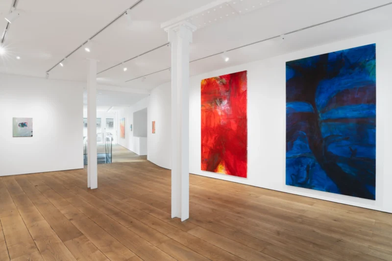 Installation shot from Alice Delhanty: Invented Fire, @ Tache