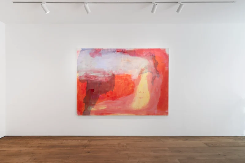 Installation shot from Alice Delhanty: Invented Fire, @ Tache