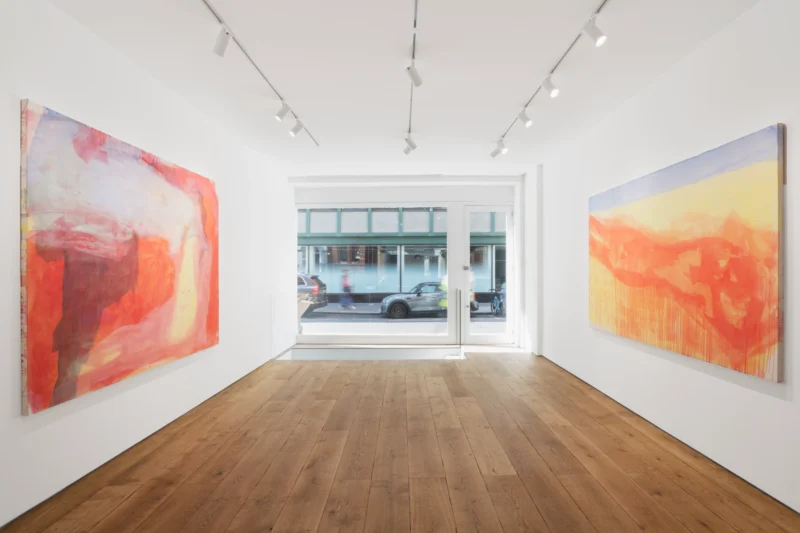 Installation shot from Alice Delhanty: Invented Fire, @ Tache