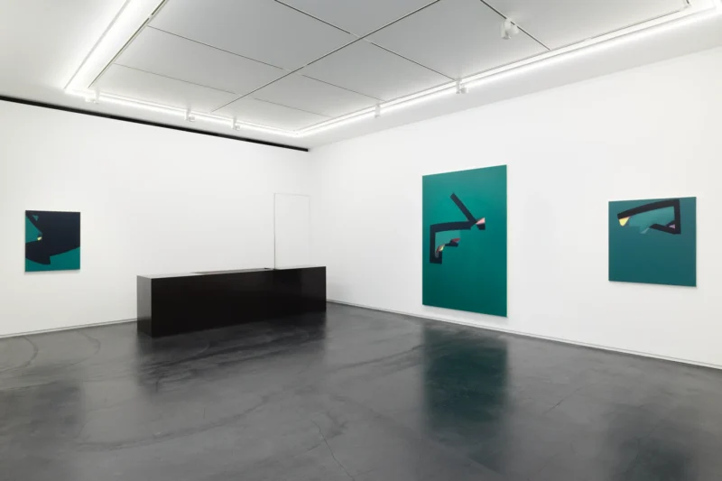 Installation shot from Kohei Yamada: green back / front, @ Taka Ishii Gallery