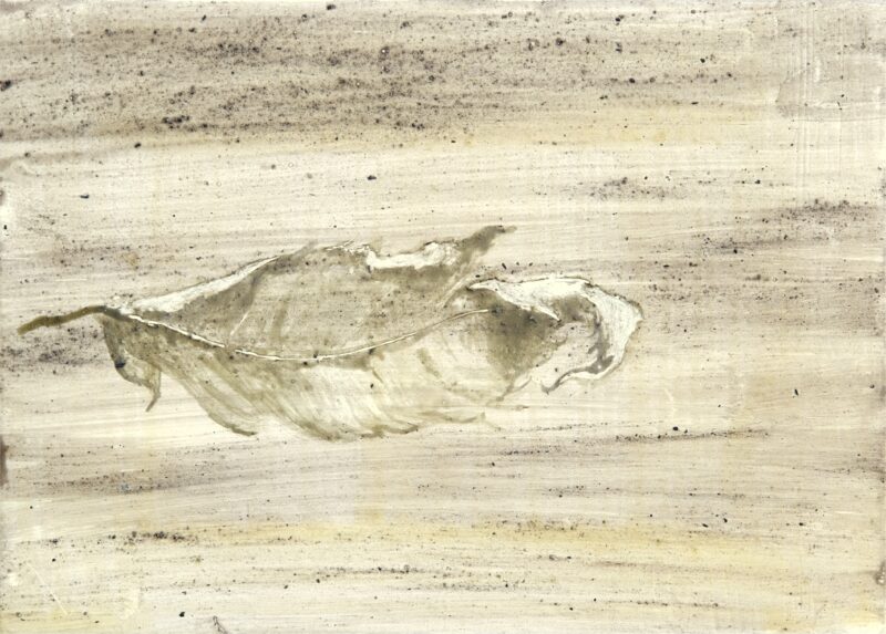Thijs Segers, Boodschap (message), 2026