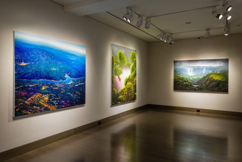 Installation shot from Tula Telfair: Who Owns This Land, @ Hirschl & Adler