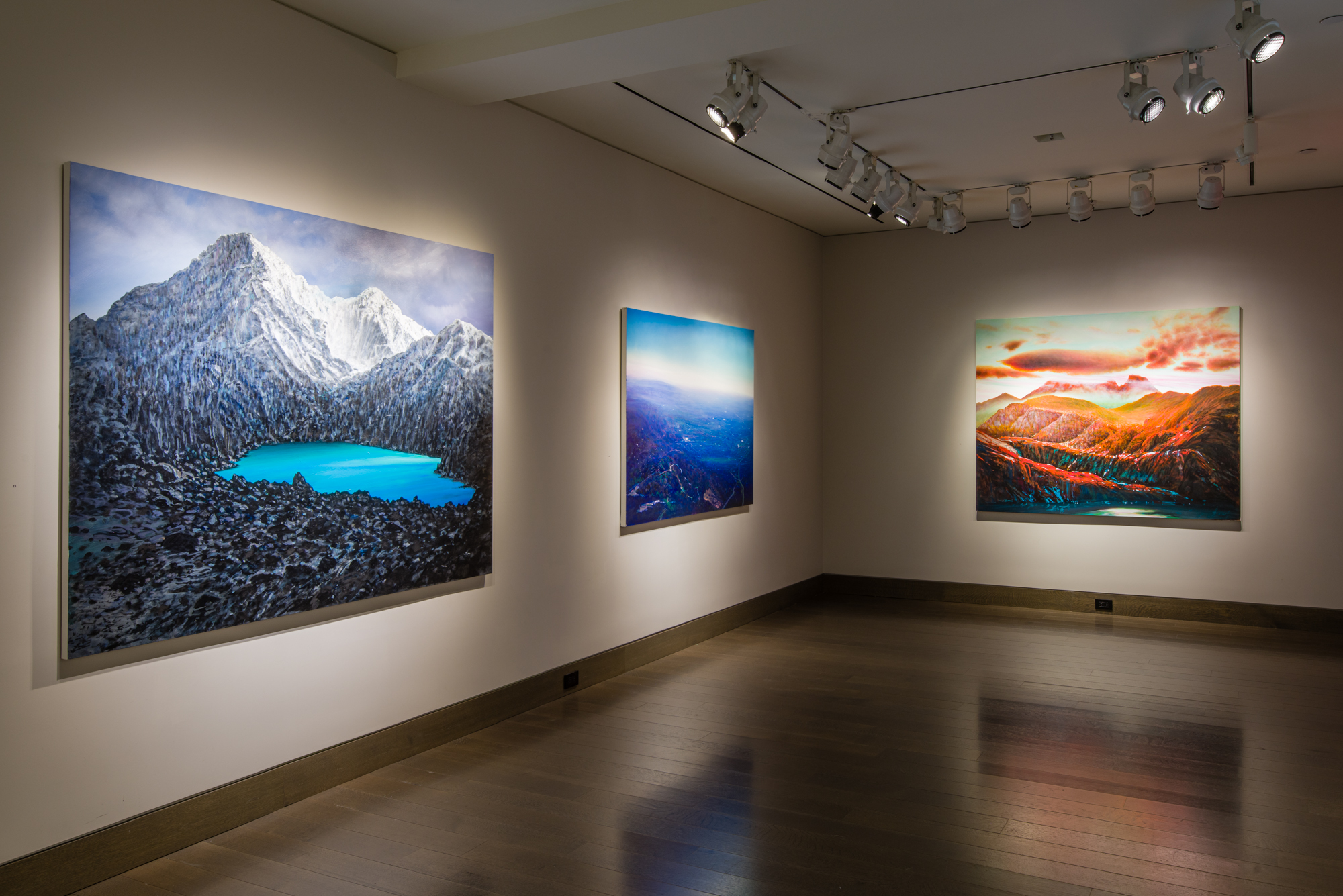 Image for Tula Telfair: Who Owns This Land, at Hirschl & Adler