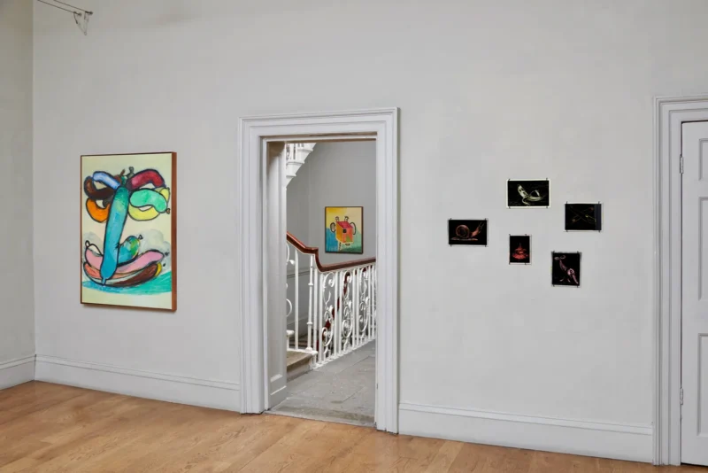 Installation shot from Ansel Krut: Yawa Ekat Ro Ni Tae / Eat In Or Take Away, @ domobaal